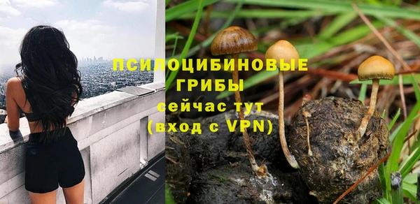 прущие крисы Белоозёрский