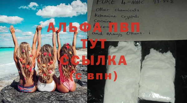 амфетамин Белокуриха