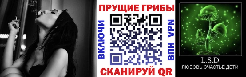 Псилоцибиновые грибы мицелий  Чулым 
